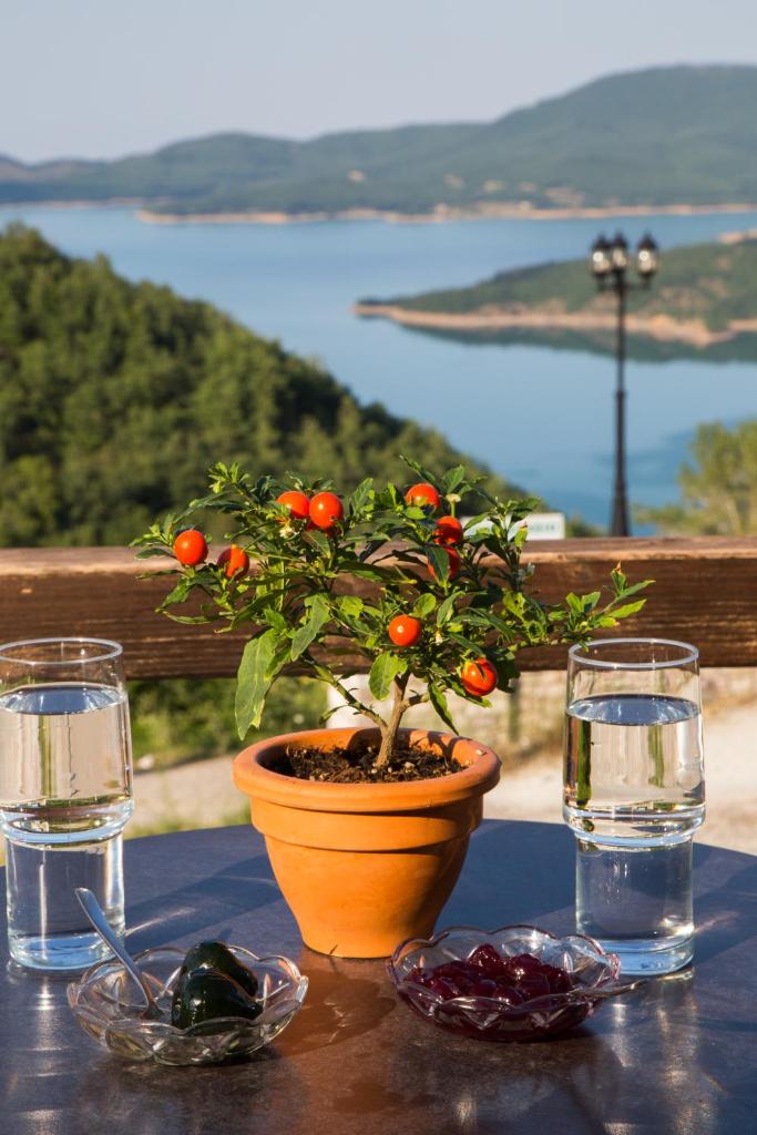 Χρυσοπελεια - Chrisopeleia Lake View photo 4