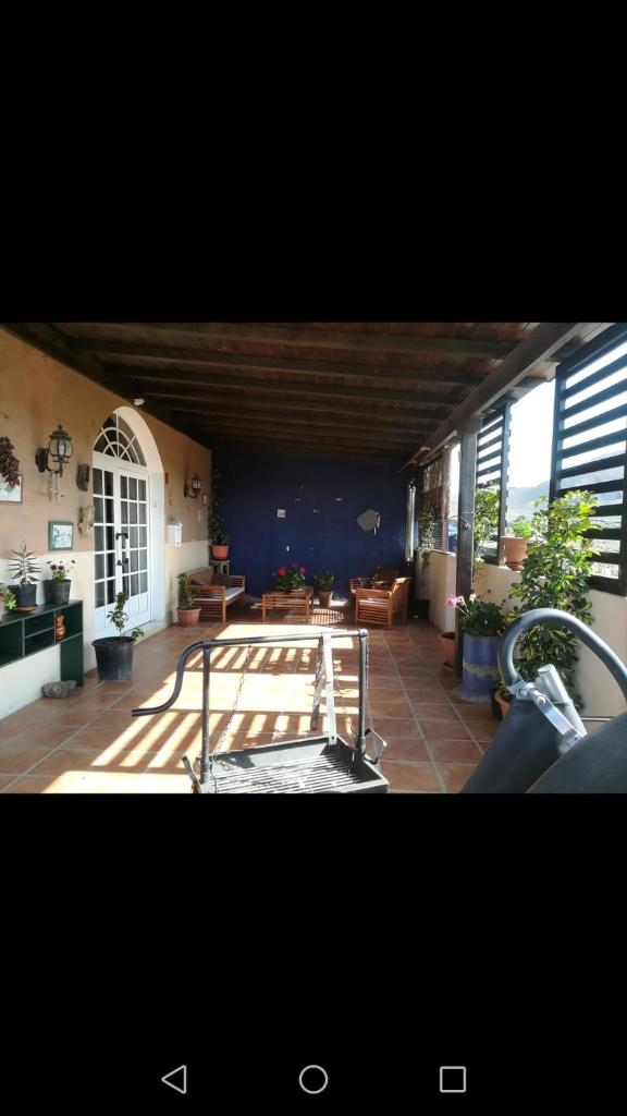 Casa Papi photo 4