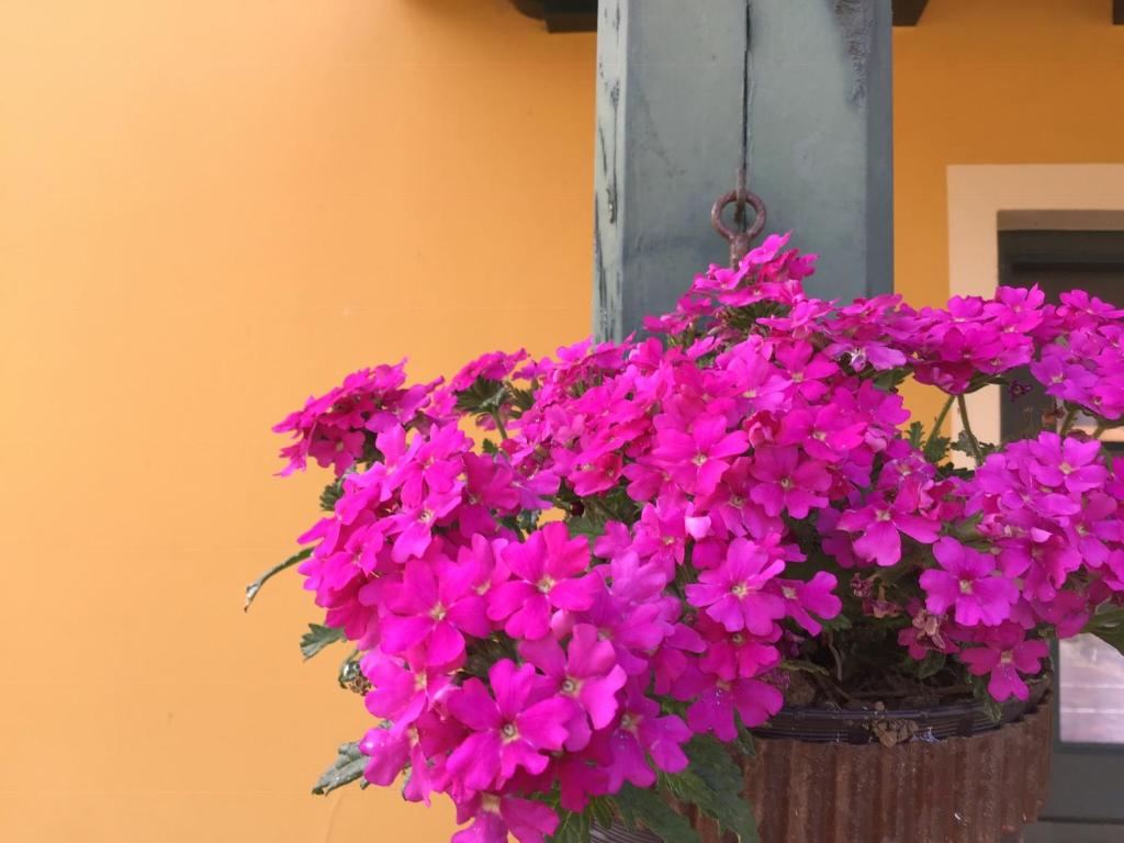 Apartamento Camangu C photo 1