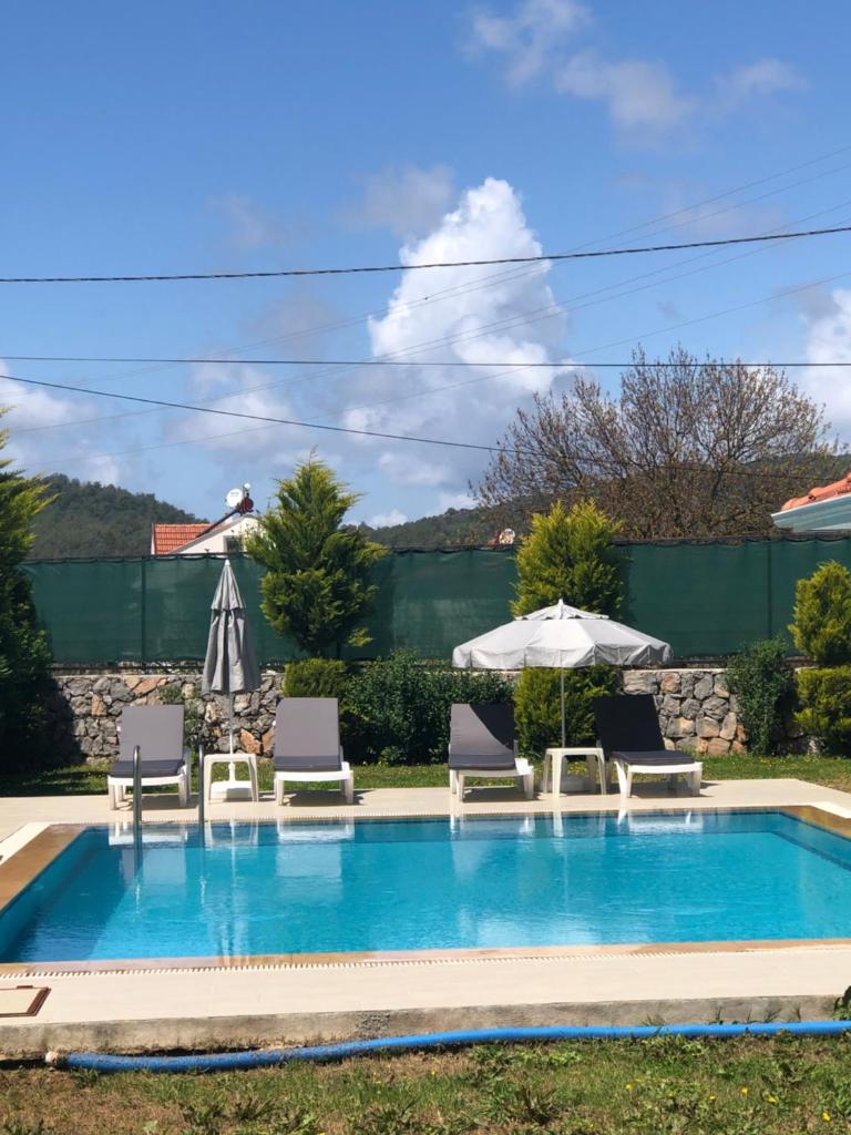 Villa Selin photo 3