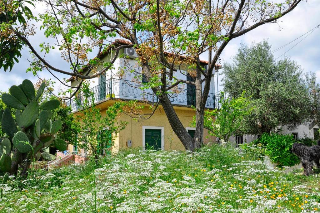 Alex Montos apartment Karousades Corfu photo 1