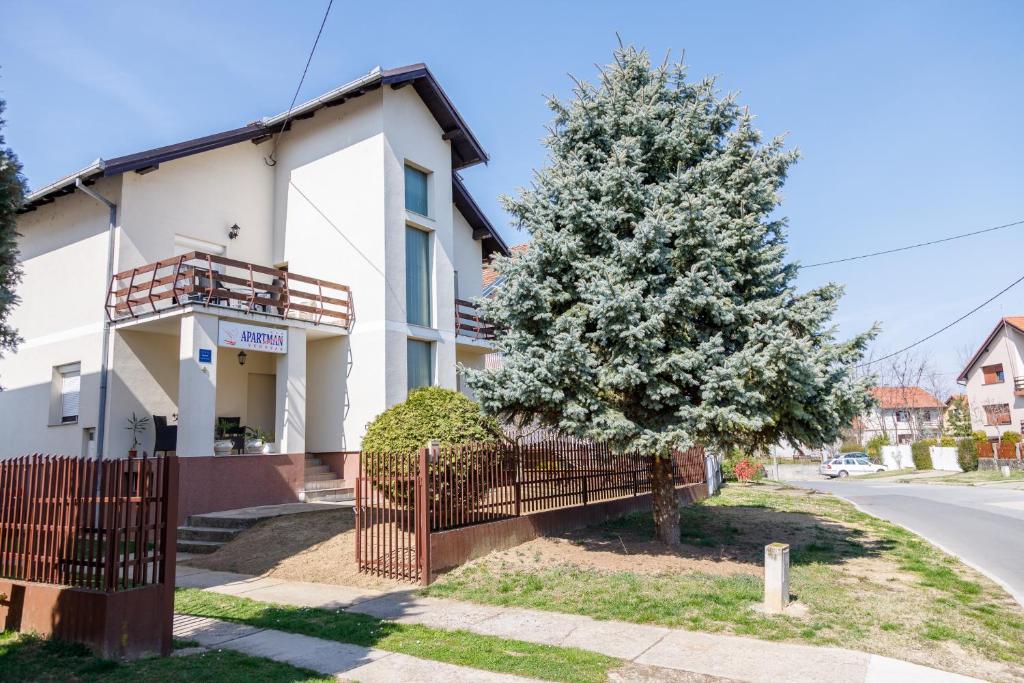 Apartmani Maraton photo 4