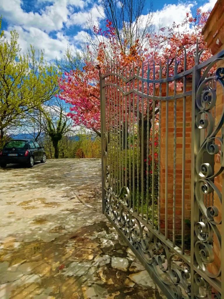 Luci sui Monti photo 3