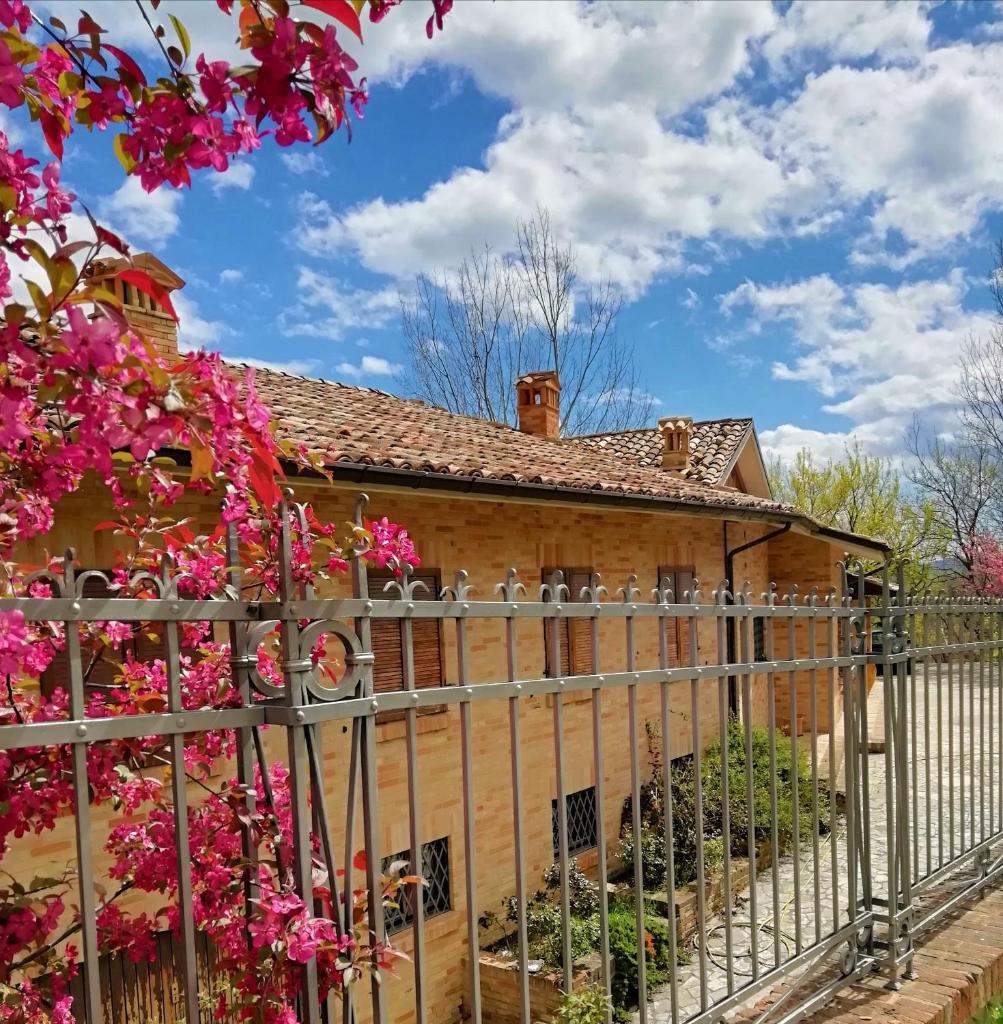 Luci sui Monti photo 1