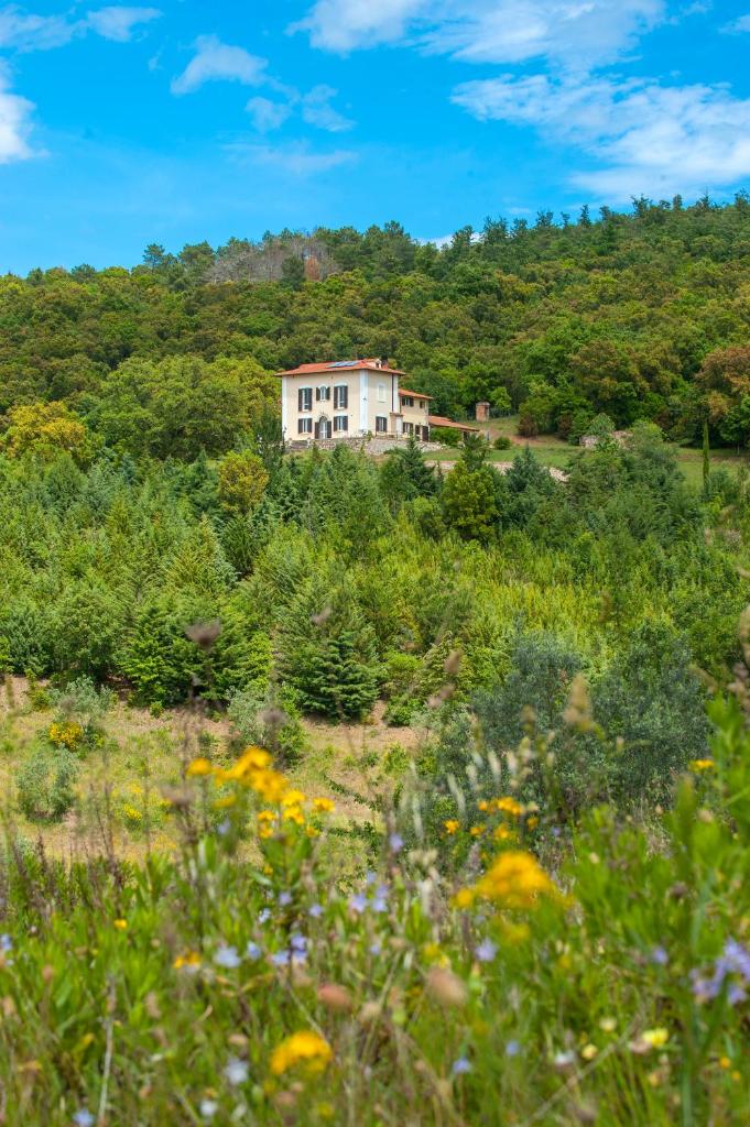 Palazzina Panorama photo 1