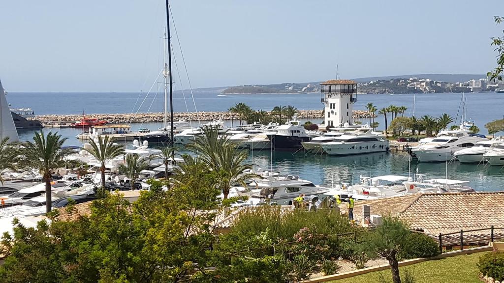 Mallorca escape photo 1