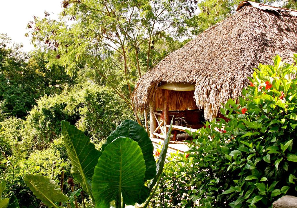 Ecolodge Tubagua Puerto Plata photo 3