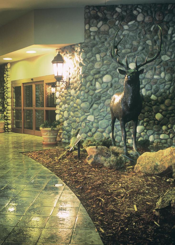 Grand Vista Hotel Grand Junction photo 3