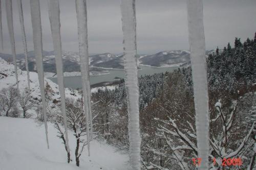 Ersis photo 3