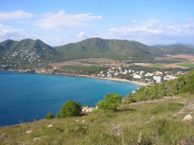 Canyamel 27 photo 3