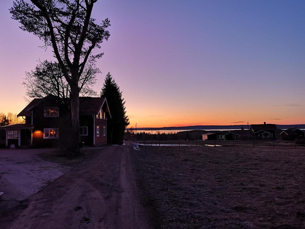 Det Gamla Panget photo 3