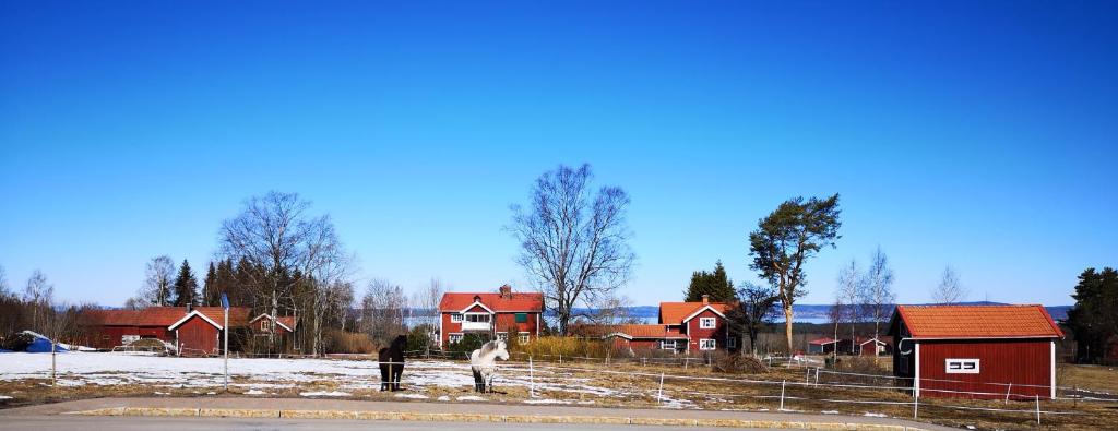Det Gamla Panget photo 1