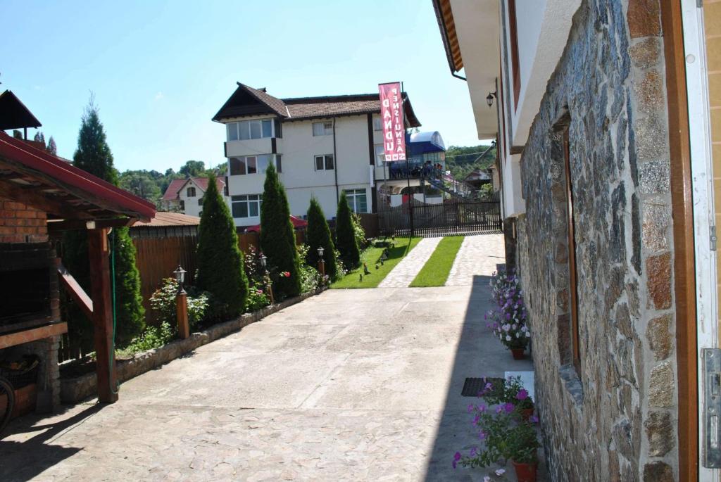 Pensiunea Dandu photo 1
