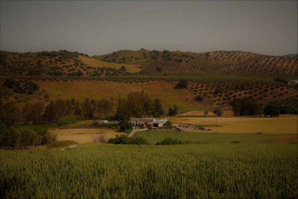 Casa Rural Asiento del Río photo 4