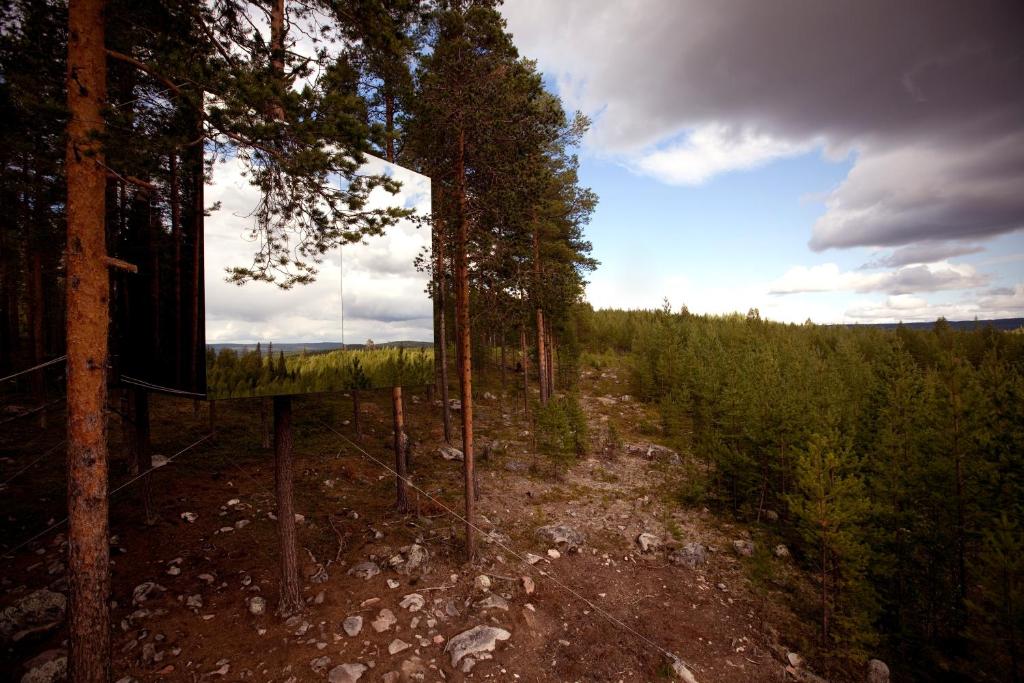 Treehotel photo 4