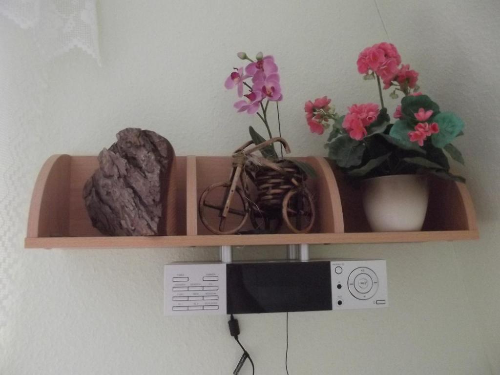 Ferienwohnung Seifert photo 3