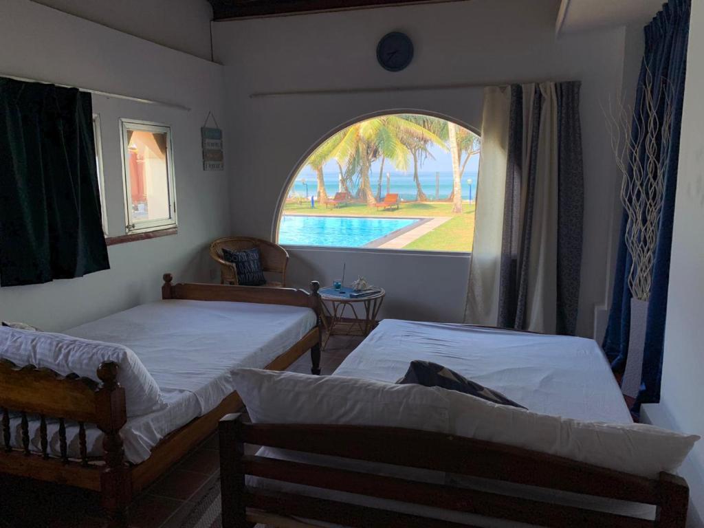 Airy Dale Villa and Guesthouse photo 2