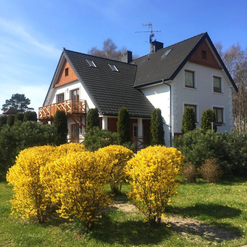 Marea Apartamenty Ustka photo 4