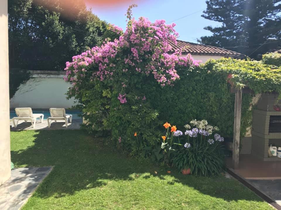 Villa Black Bnb photo 1