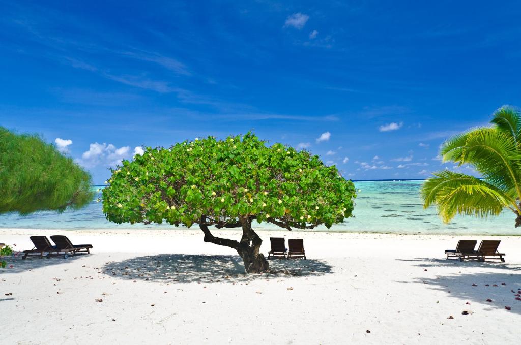 Etu Moana Boutique Beach Villas - Adults Only photo 2