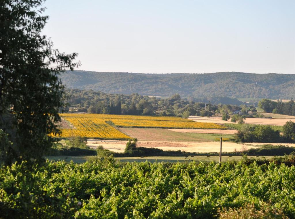 Maison Chemin d'Uzès photo 4