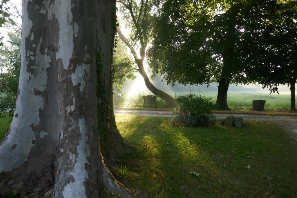 Château Le Souley photo 4