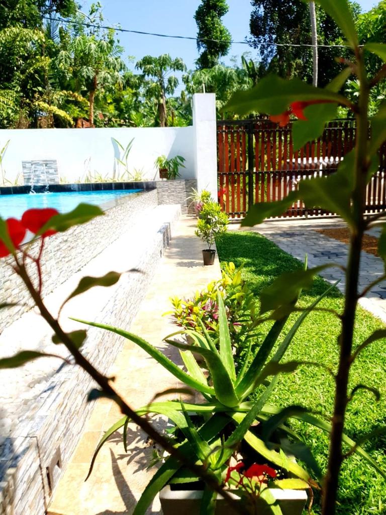 Villa@12 Induruwa photo 4