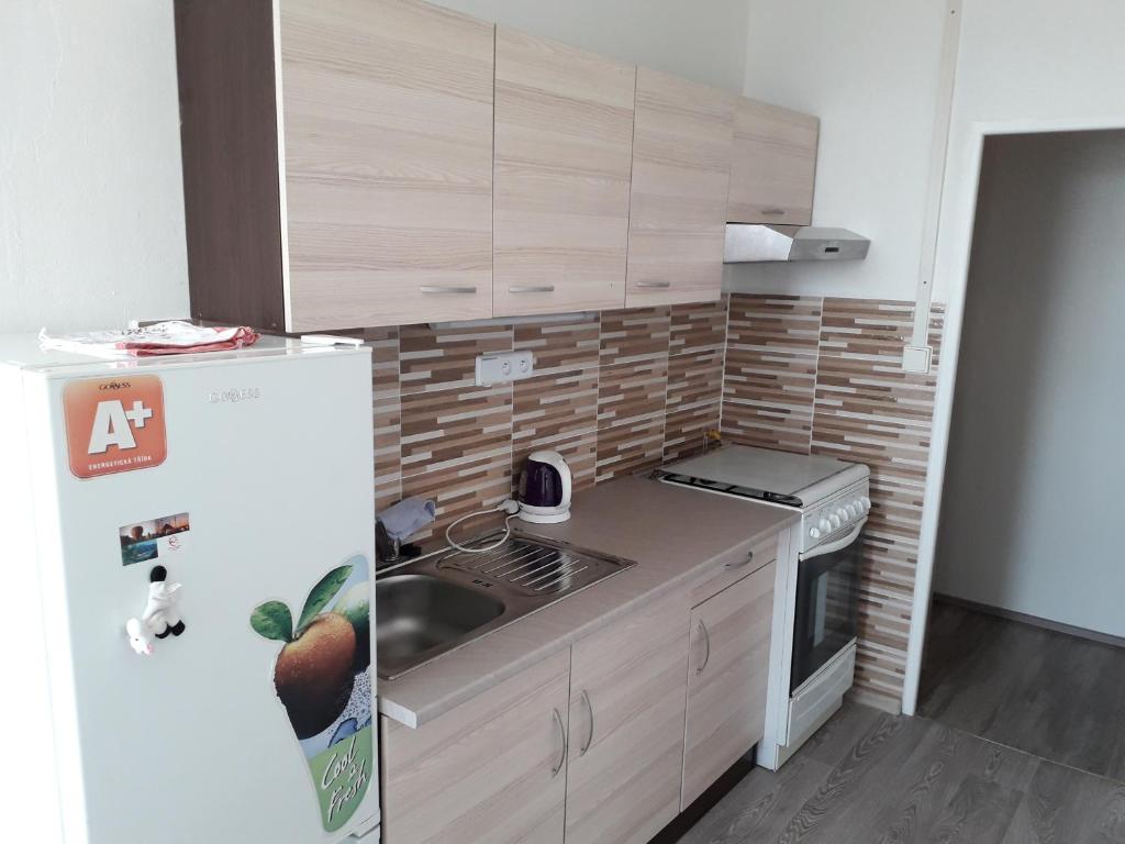 Apartmán Trutnov photo 1