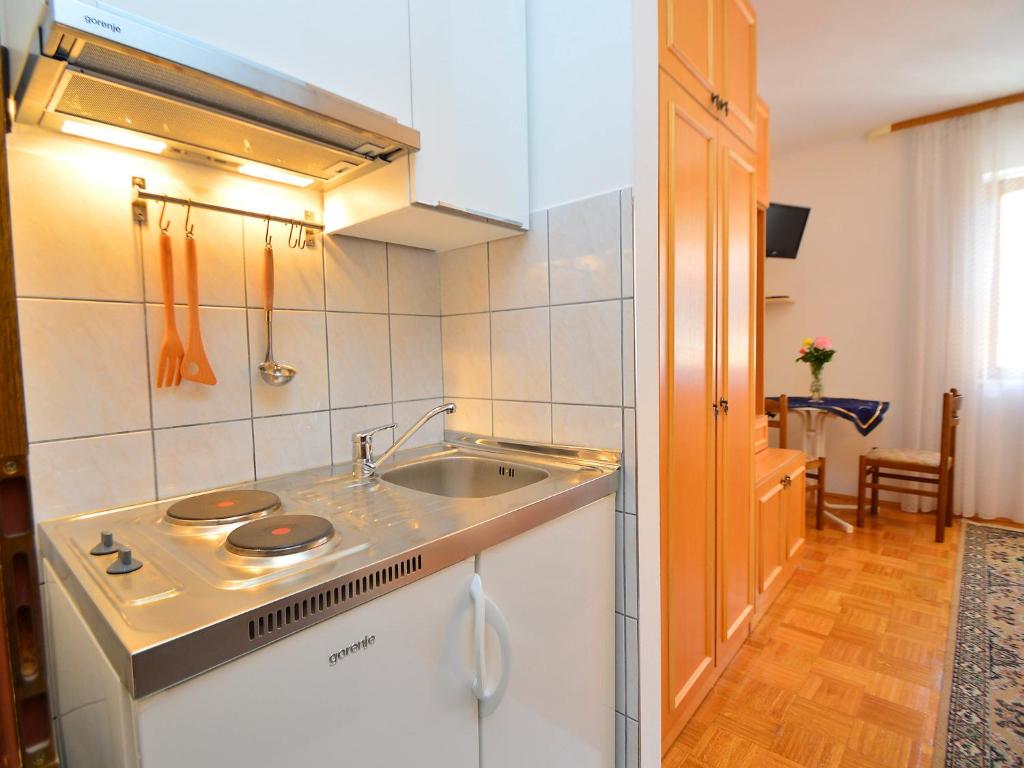 Apartment Milenko-1 by Interhome photo 3
