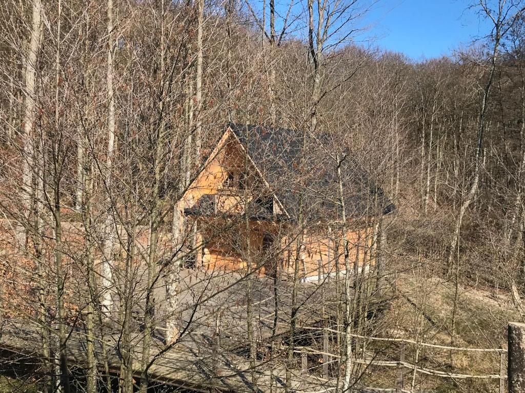 Swiss Chalet photo 2
