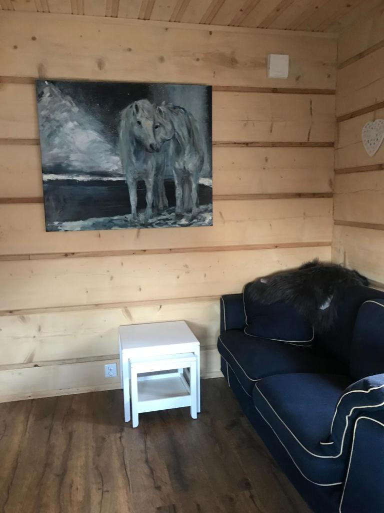 Fjäll Stuga photo 3