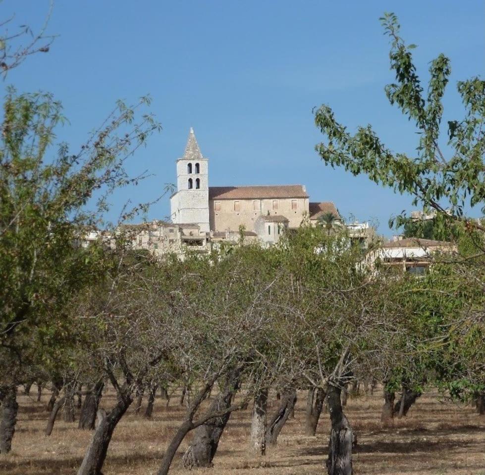 Ca na Mora photo 3