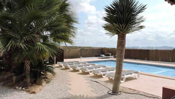 HL036 · HL 036 Luxury 3 bedroom villa , high standard photo 2