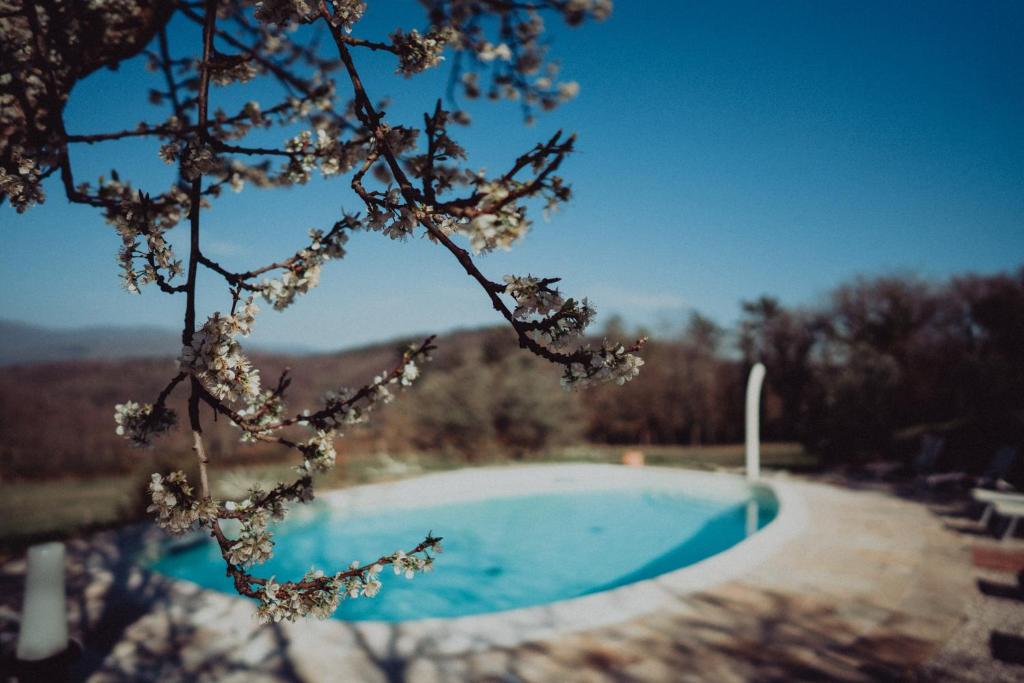 SommaVilla B&B photo 1