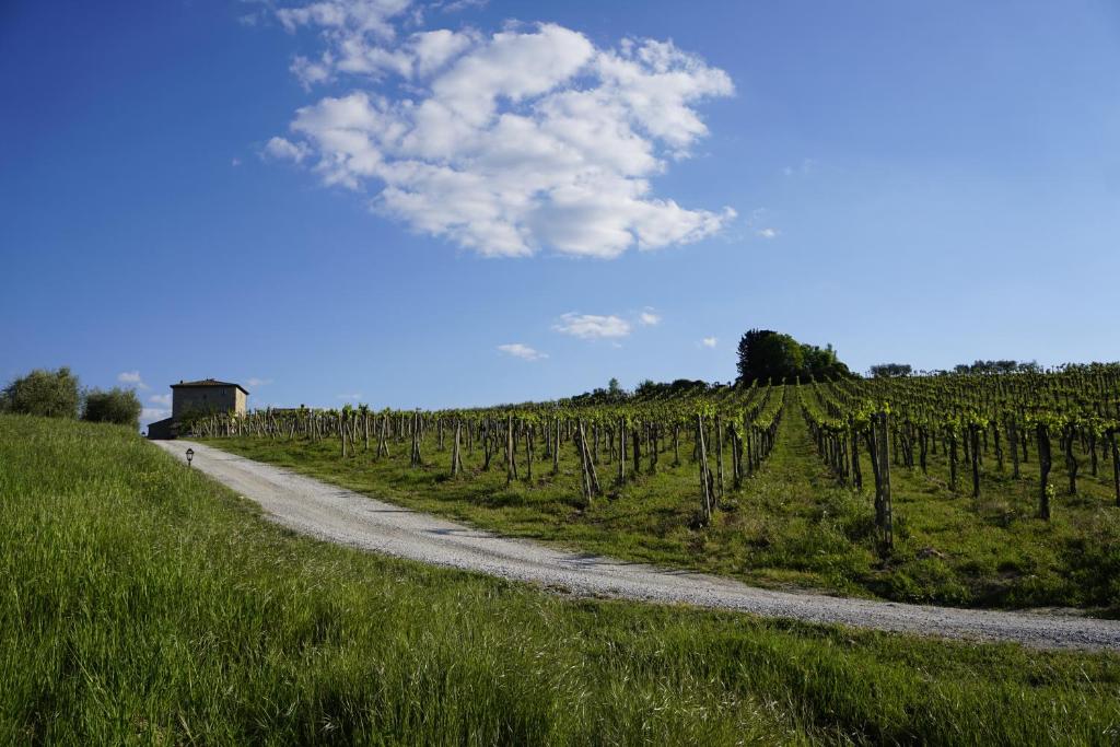 Agriturismo Il Casolare Di Bucciano photo 1