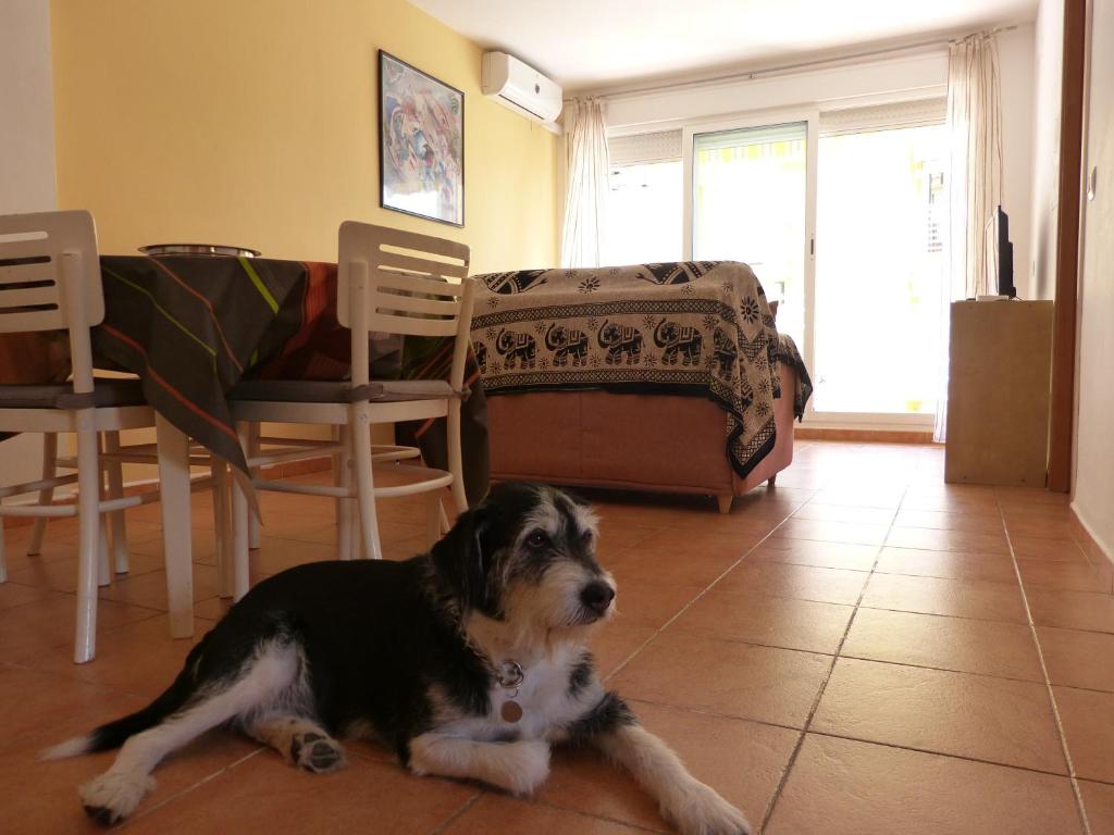 Apartamento Pescadors photo 2