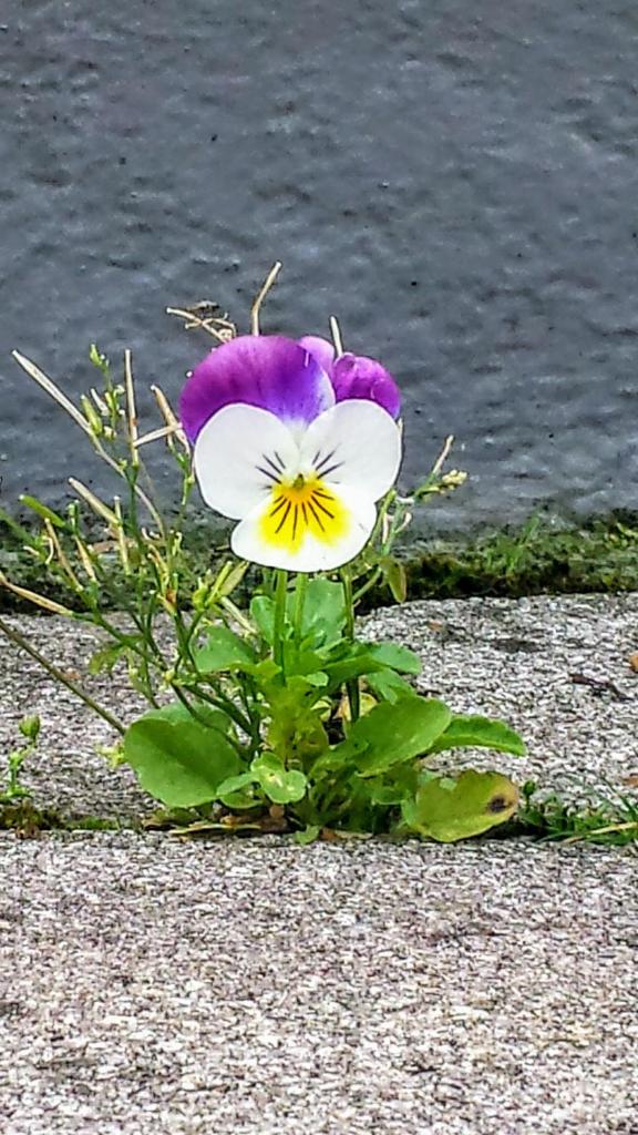 Mach mal Pause bei Geni & Bernd photo 4