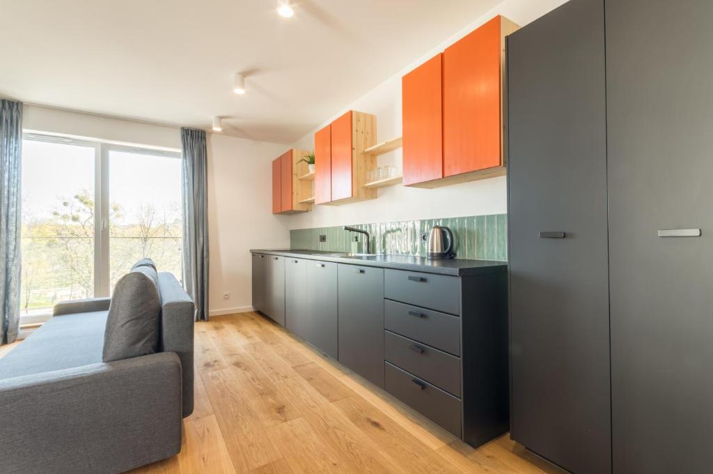 Апартаменты (Апартаменты с 1 спальней), D&P Apartments Angielska Grobla