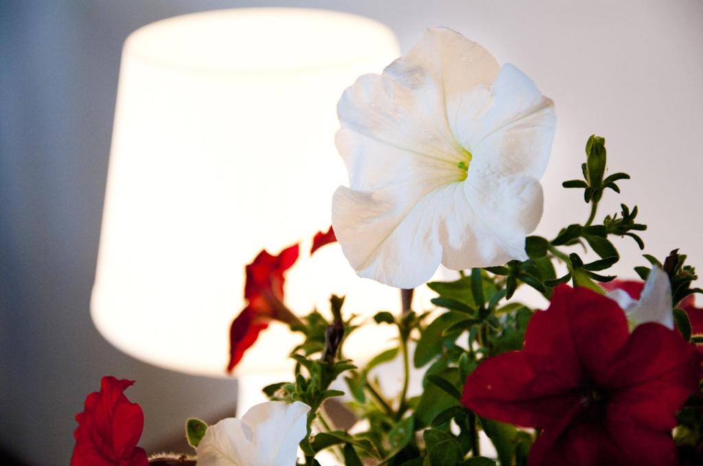 Двухместный (Двухместный номер с 1 кроватью или 2 отдельными кроватями), Zajazd Wrocławski