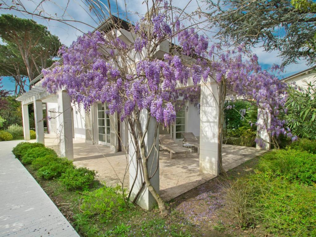 Villa Delizia by Interhome photo 2
