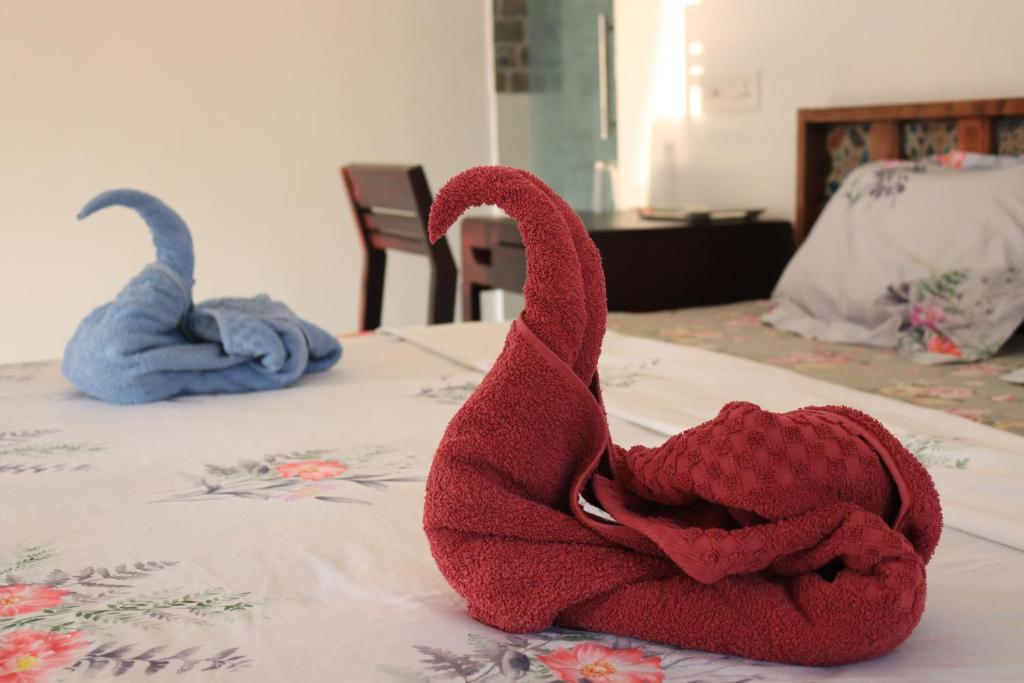 Номер (Коттедж (для 2 взрослых)), Magnolia Guesthouse Varkala