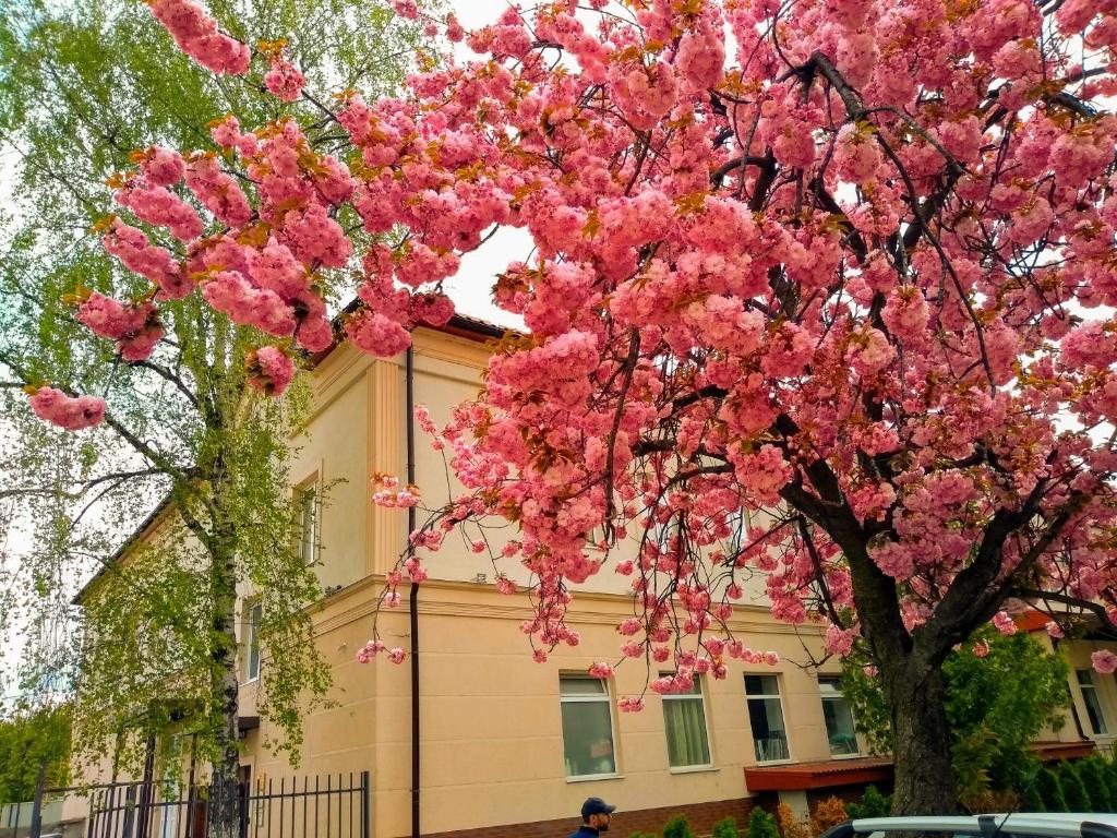 Mini-hotel Na Pidgradskiy photo 1