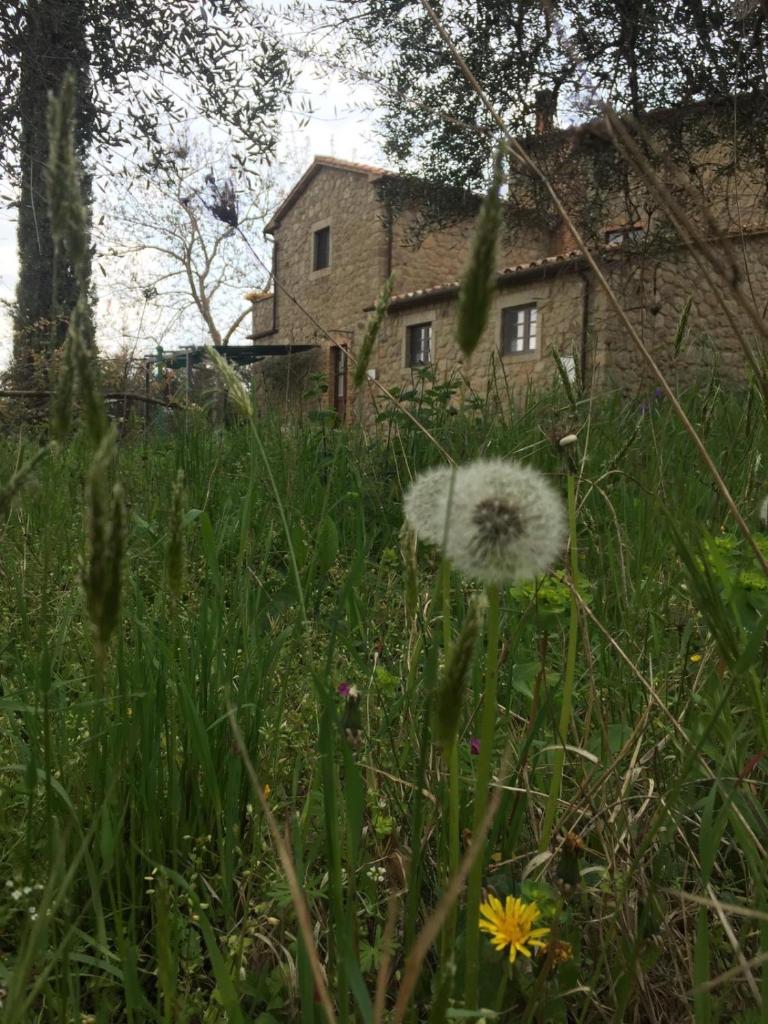 Giardino di Potentino photo 4