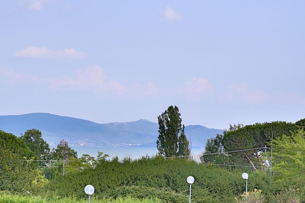 Orione photo 1