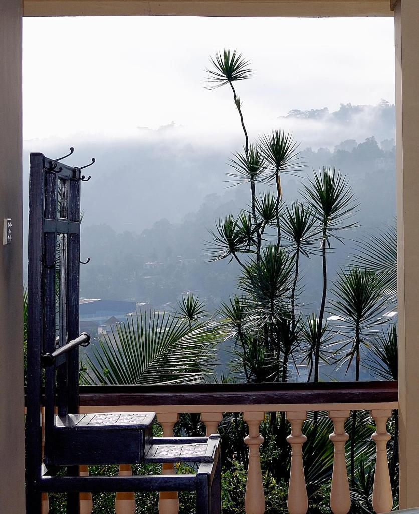 Evergreen photo 1