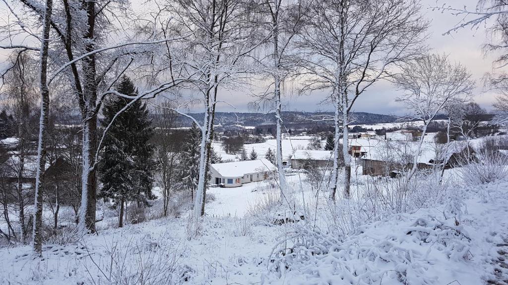 GERARDMER La villa de Corcieux photo 2