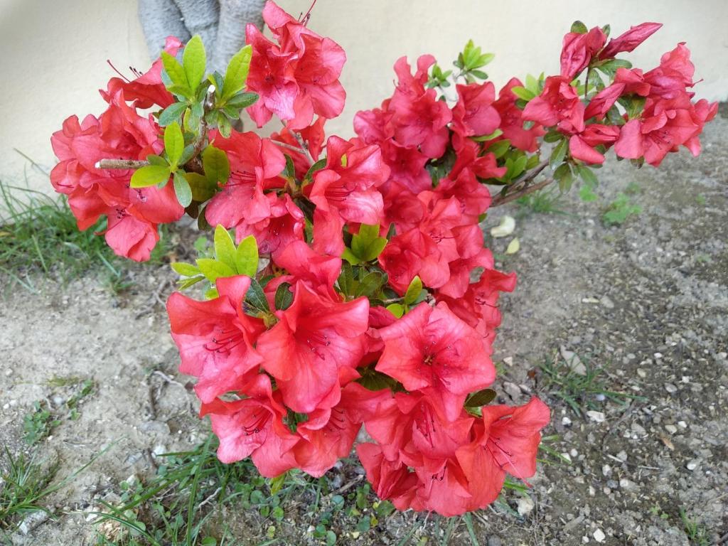 Casetta Orsola photo 3