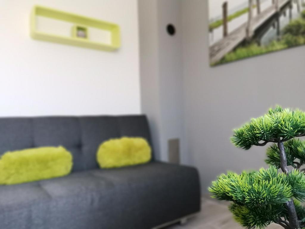 Apartments Regi Medulin photo 3
