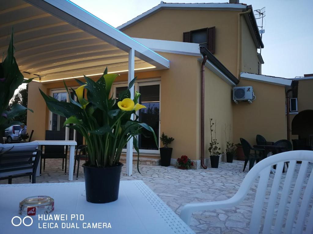 B&B Fiori di Pesco photo 3