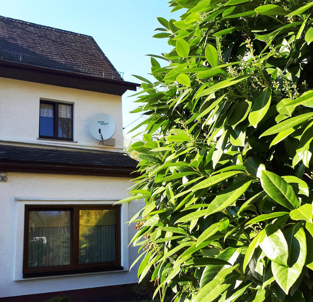 Green Corner Nürburg photo 4